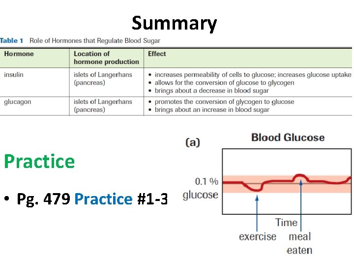 Summary Practice • Pg. 479 Practice #1 -3 Summary Practice • Pg. 479 Practice #1 -3