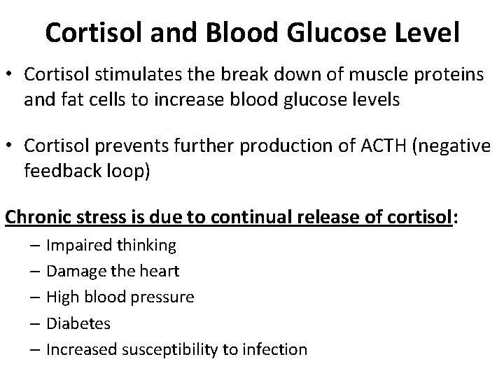 Cortisol and Blood Glucose Level • Cortisol stimulates the break down of muscle proteins Cortisol and Blood Glucose Level • Cortisol stimulates the break down of muscle proteins