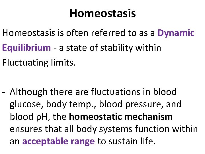 Homeostasis is often referred to as a Dynamic Equilibrium - a state of stability Homeostasis is often referred to as a Dynamic Equilibrium - a state of stability