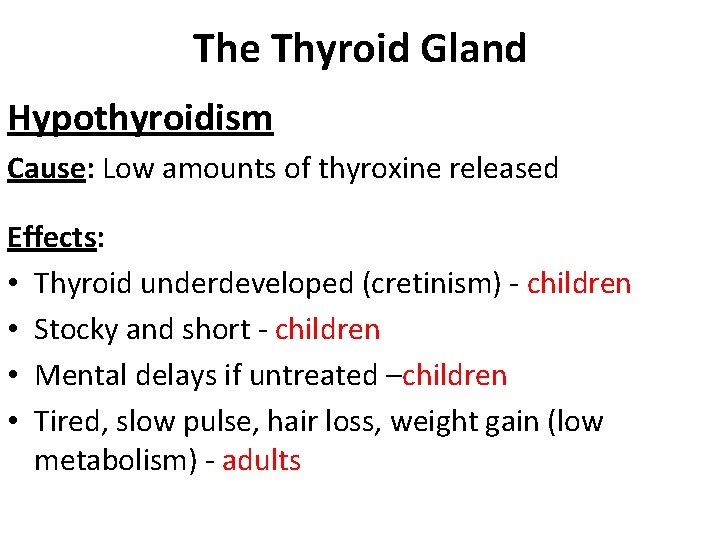 The Thyroid Gland Hypothyroidism Cause: Low amounts of thyroxine released Effects: • Thyroid underdeveloped The Thyroid Gland Hypothyroidism Cause: Low amounts of thyroxine released Effects: • Thyroid underdeveloped