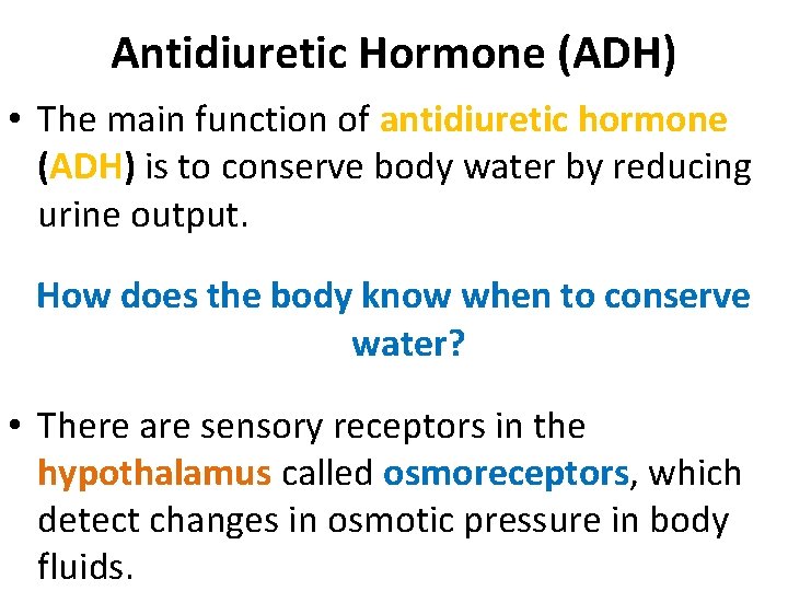 Antidiuretic Hormone (ADH) • The main function of antidiuretic hormone (ADH) is to conserve Antidiuretic Hormone (ADH) • The main function of antidiuretic hormone (ADH) is to conserve
