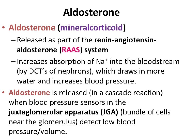 Aldosterone • Aldosterone (mineralcorticoid) – Released as part of the renin-angiotensinaldosterone (RAAS) system – Aldosterone • Aldosterone (mineralcorticoid) – Released as part of the renin-angiotensinaldosterone (RAAS) system –