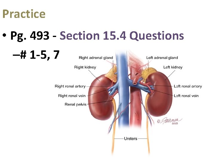 Practice • Pg. 493 - Section 15. 4 Questions –# 1 -5, 7 Practice • Pg. 493 - Section 15. 4 Questions –# 1 -5, 7