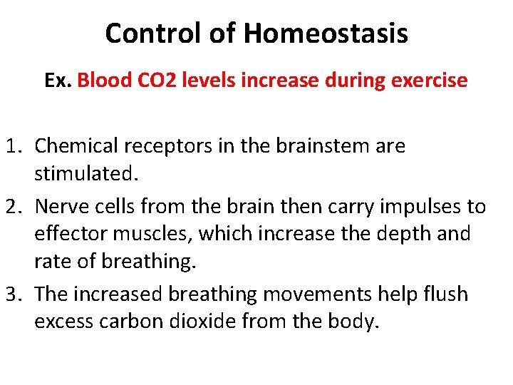 Control of Homeostasis Ex. Blood CO 2 levels increase during exercise 1. Chemical receptors Control of Homeostasis Ex. Blood CO 2 levels increase during exercise 1. Chemical receptors