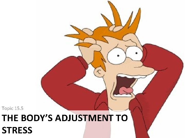 Topic 15. 5 THE BODY’S ADJUSTMENT TO STRESS Topic 15. 5 THE BODY’S ADJUSTMENT TO STRESS