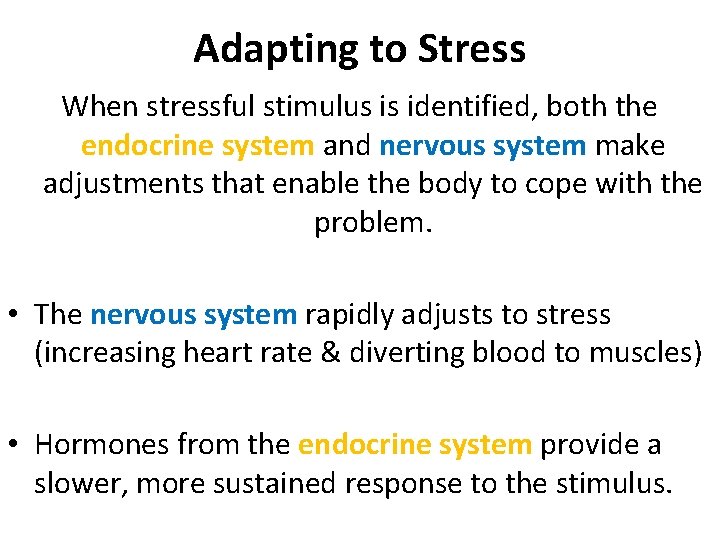 Adapting to Stress When stressful stimulus is identified, both the endocrine system and nervous Adapting to Stress When stressful stimulus is identified, both the endocrine system and nervous
