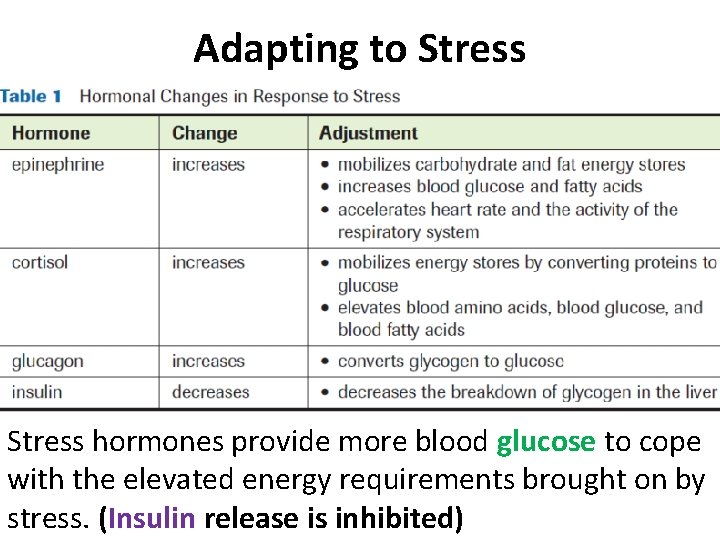 Adapting to Stress hormones provide more blood glucose to cope with the elevated energy Adapting to Stress hormones provide more blood glucose to cope with the elevated energy
