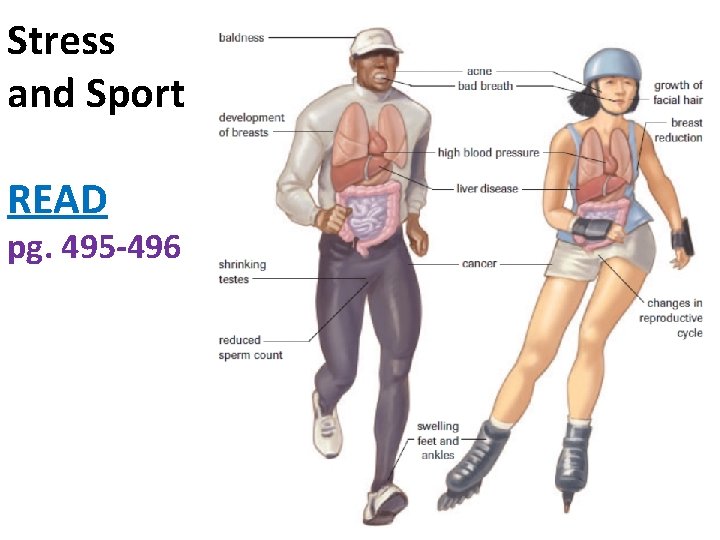 Stress and Sport READ pg. 495 -496 Stress and Sport READ pg. 495 -496