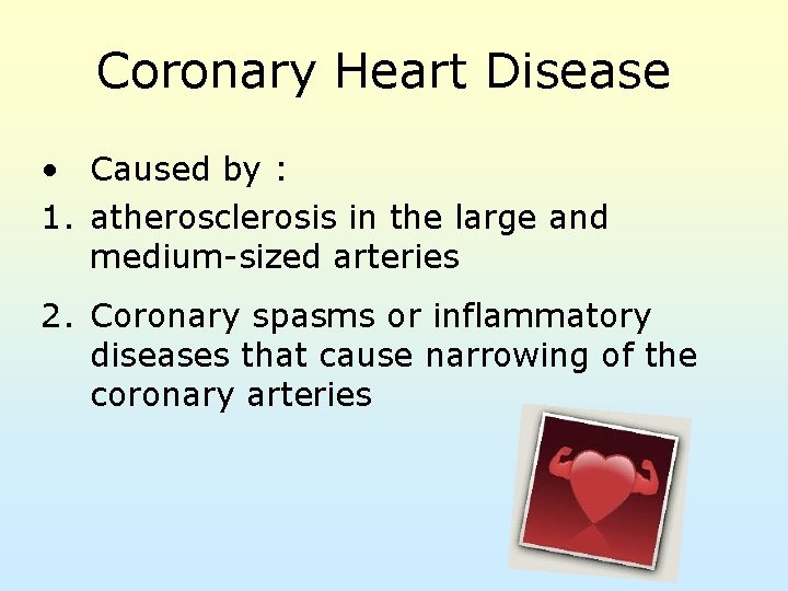 Coronary Heart Disease • Caused by : 1. atherosclerosis in the large and medium-sized