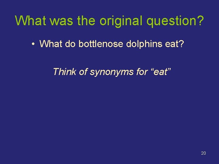 What was the original question? • What do bottlenose dolphins eat? Think of synonyms What was the original question? • What do bottlenose dolphins eat? Think of synonyms