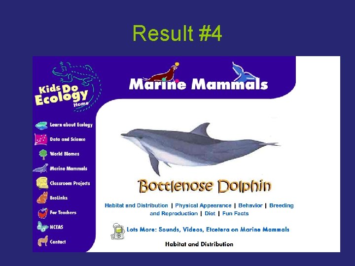 Result #4 30 Result #4 30