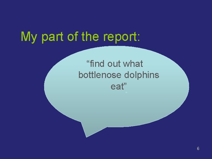 My part of the report: “find out what bottlenose dolphins eat” 6 My part of the report: “find out what bottlenose dolphins eat” 6