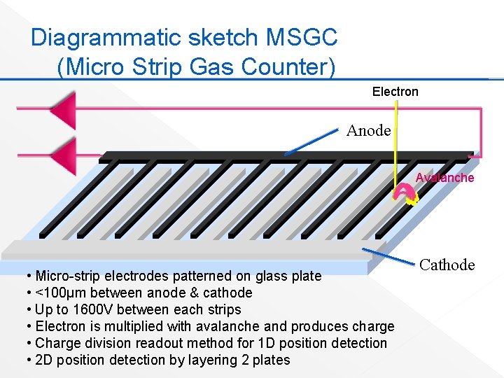 Diagrammatic sketch MSGC (Micro Strip Gas Counter) Electron Anode Avalanche • Micro-strip electrodes patterned