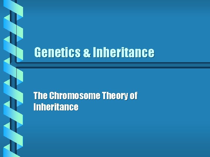 Genetics & Inheritance The Chromosome Theory of Inheritance 