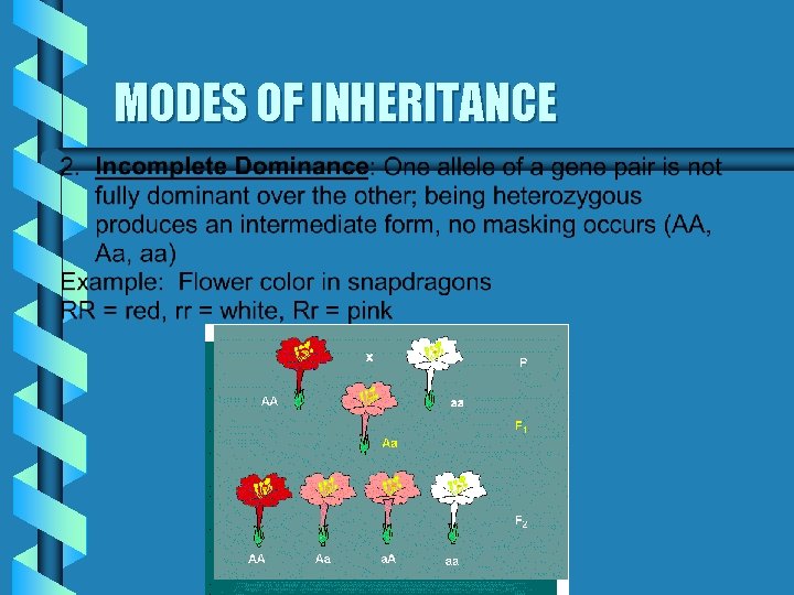 MODES OF INHERITANCE 