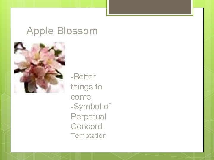 Apple Blossom -Better things to come, -Symbol of Perpetual Concord, Temptation 