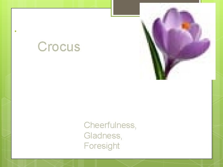 . Crocus Cheerfulness, Gladness, Foresight 