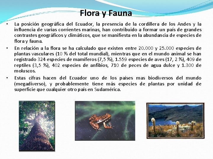 Flora y Fauna • • • La posición geográfica del Ecuador, la presencia de