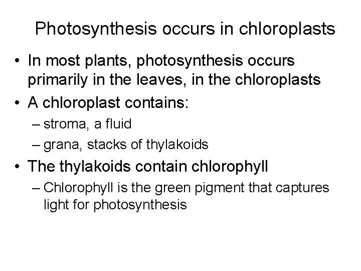 Photosynthesis occurs in chloroplasts • In most plants, photosynthesis occurs primarily in the leaves,