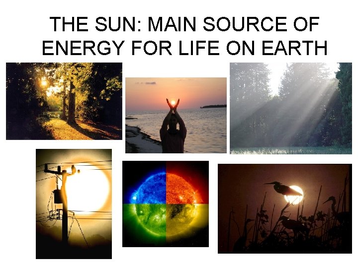 THE SUN: MAIN SOURCE OF ENERGY FOR LIFE ON EARTH 