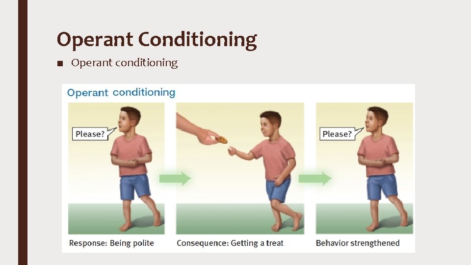 Operant Conditioning ■ Operant conditioning 