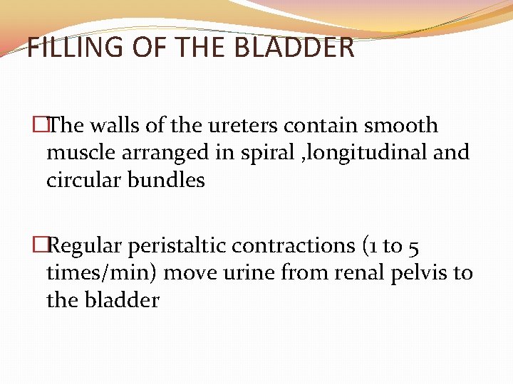 FILLING OF THE BLADDER �The walls of the ureters contain smooth muscle arranged in