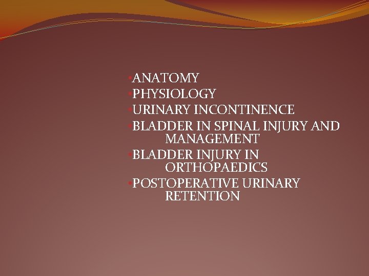  • ANATOMY • PHYSIOLOGY • URINARY INCONTINENCE • BLADDER IN SPINAL INJURY AND