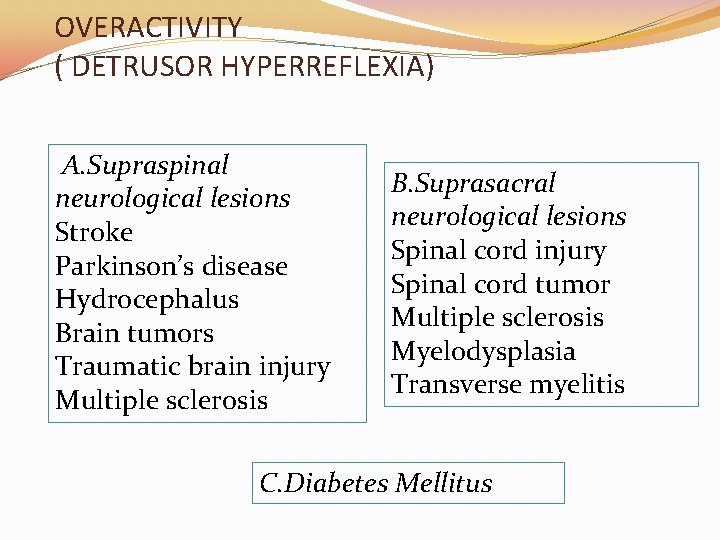 OVERACTIVITY ( DETRUSOR HYPERREFLEXIA) A. Supraspinal neurological lesions Stroke Parkinson’s disease Hydrocephalus Brain tumors