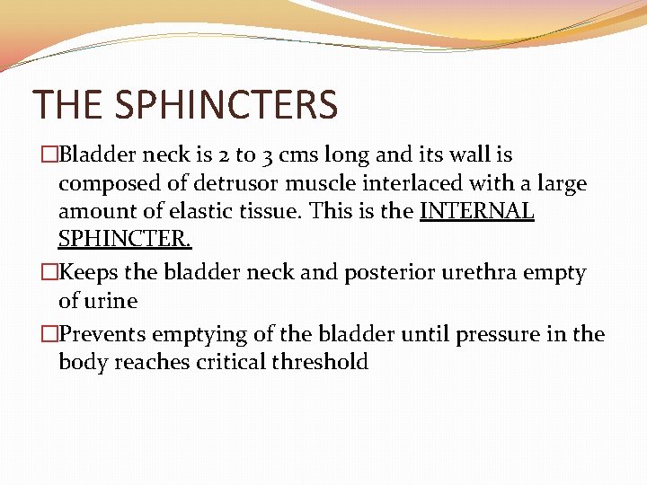 THE SPHINCTERS �Bladder neck is 2 to 3 cms long and its wall is