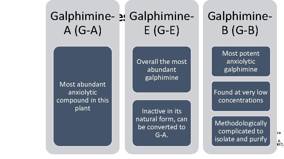 Galphimines Galphimine. Most Active A (G-A) E (G-E) Most abundant anxiolytic compound in this