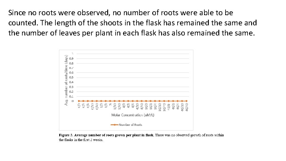 Since no roots were observed, no number of roots were able to be counted.