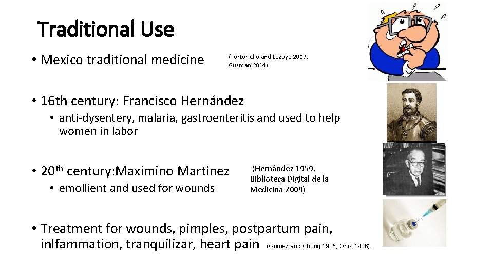 Traditional Use • Mexico traditional medicine (Tortoriello and Lozoya 2007; Guzmán 2014) • 16