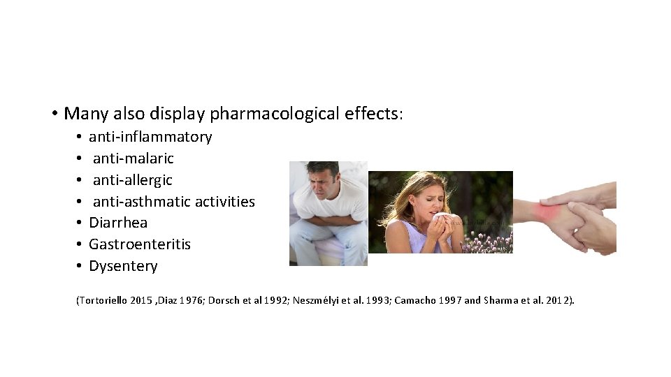  • Many also display pharmacological effects: • • anti-inflammatory anti-malaric anti-allergic anti-asthmatic activities