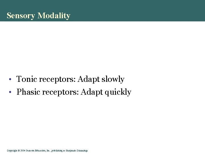 Sensory Modality • Tonic receptors: Adapt slowly • Phasic receptors: Adapt quickly Copyright ©