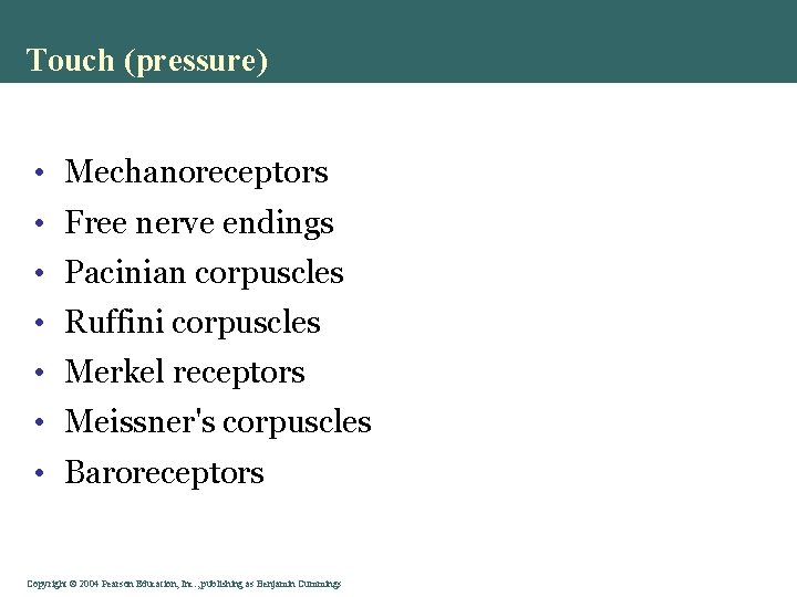 Touch (pressure) • Mechanoreceptors • Free nerve endings • Pacinian corpuscles • Ruffini corpuscles