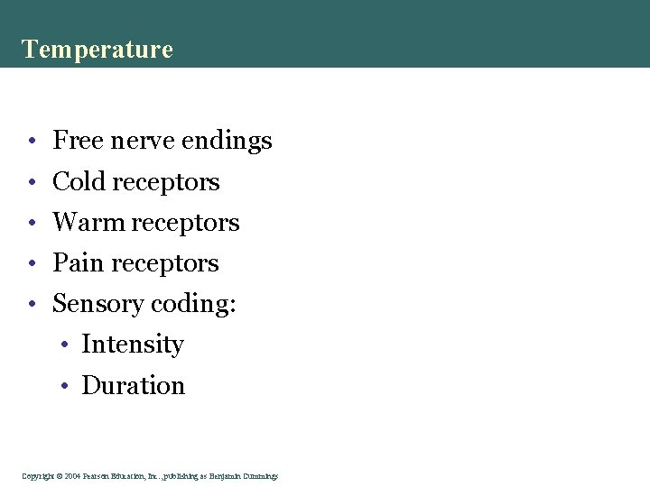 Temperature • Free nerve endings • Cold receptors • Warm receptors • Pain receptors