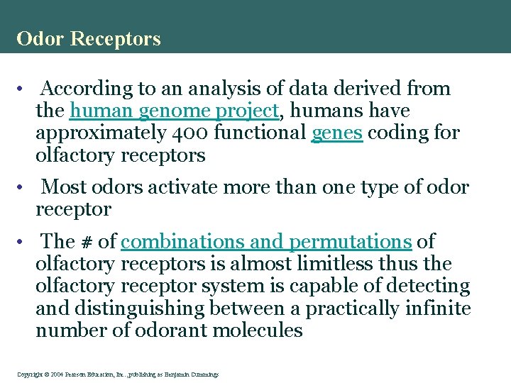 Odor Receptors • According to an analysis of data derived from the human genome