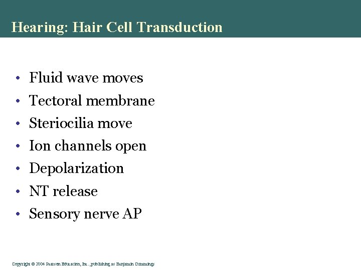 Hearing: Hair Cell Transduction • Fluid wave moves • Tectoral membrane • Steriocilia move