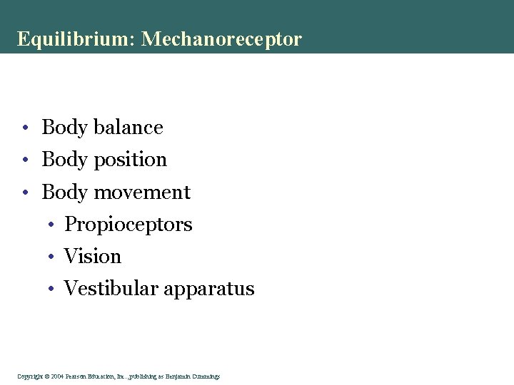 Equilibrium: Mechanoreceptor • Body balance • Body position • Body movement • Propioceptors •