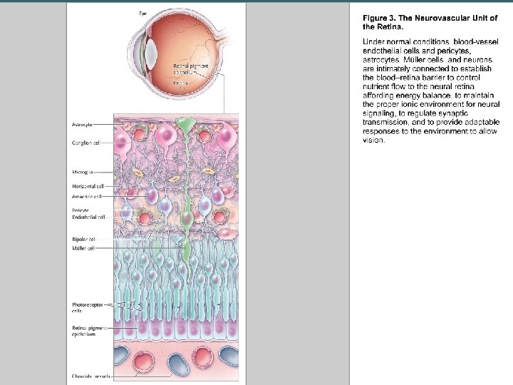 Copyright © 2004 Pearson Education, Inc. , publishing as Benjamin Cummings 