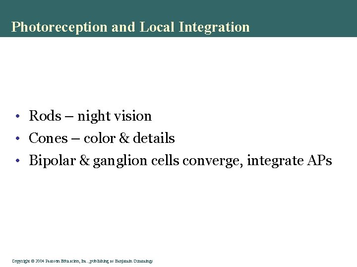 Photoreception and Local Integration • Rods – night vision • Cones – color &