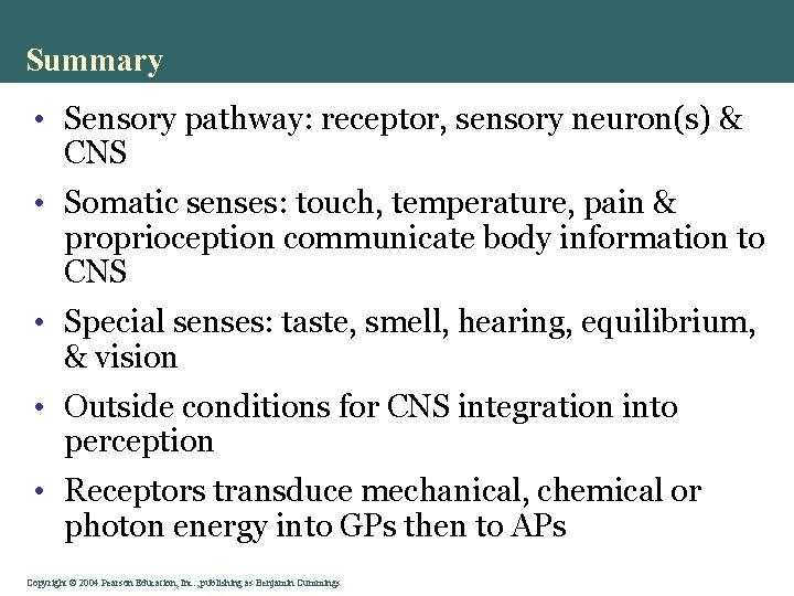 Summary • Sensory pathway: receptor, sensory neuron(s) & CNS • Somatic senses: touch, temperature,