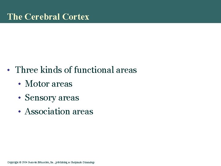 The Cerebral Cortex • Three kinds of functional areas • Motor areas • Sensory