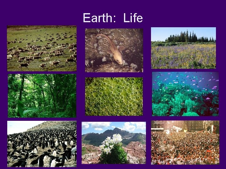 Earth: Life 