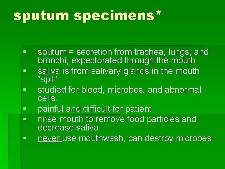 sputum specimens* § § § sputum = secretion from trachea, lungs, and bronchi, expectorated
