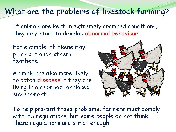 What are the problems of livestock farming? If animals are kept in extremely cramped