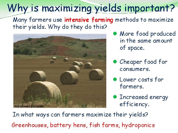 Why is maximizing yields important? Many farmers use intensive farming methods to maximize their