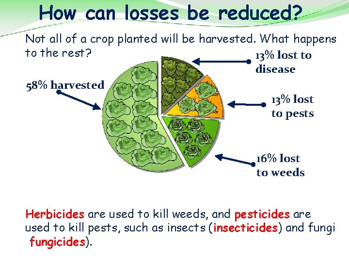How can losses be reduced? Not all of a crop planted will be harvested.