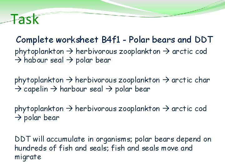 Task Complete worksheet B 4 f 1 - Polar bears and DDT phytoplankton herbivorous