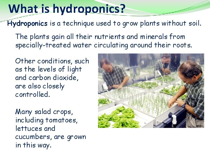 What is hydroponics? Hydroponics is a technique used to grow plants without soil. The